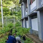 Lapas Beri Pembinaan Kemandirian WBP Lewat Perawatan Tanaman