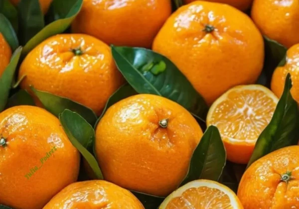 Buah Jeruk, Sumber Vitamin C Alami untuk Perkuat Daya Tahan Tubuh