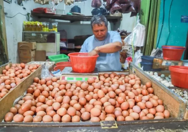 Menjelang Akhir Tahun, Harga Pangan di Kota Tangerang Masih Stabil — Cabai Merah Jadi Satu-satunya Komoditas yang Naik