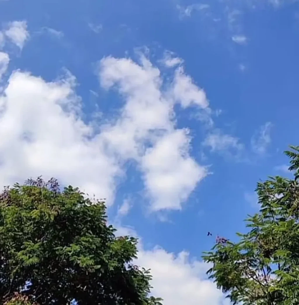 Prakiraan Cuaca Serang Rabu, 24 September 2025: Hangat dan Berawan