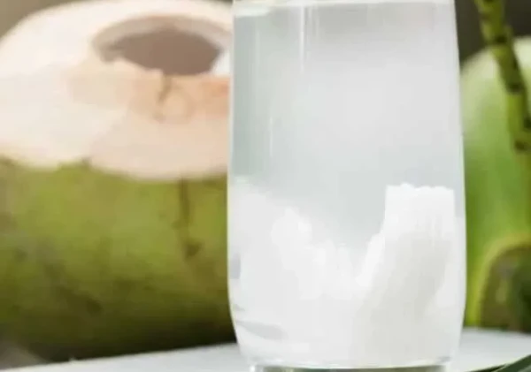 Manfaat Air Kelapa untuk Hidrasi dan Detoks Tubuh, Minuman Alami yang Segar dan Menyehatkan