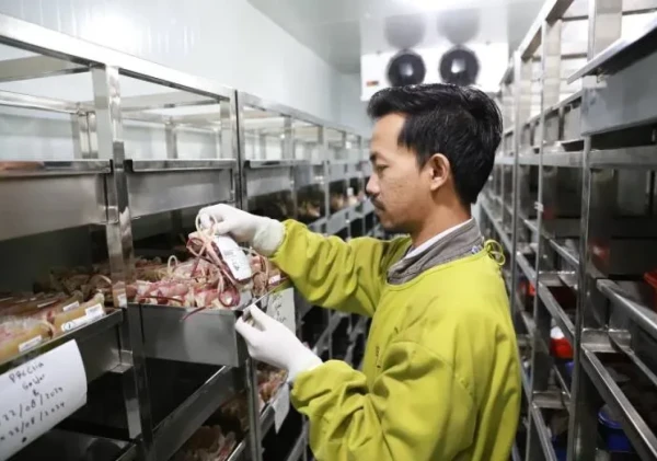 PMI Kota Tangerang Kumpulkan 75 Ribu Kantong Darah, Capai Target Tahun 2025