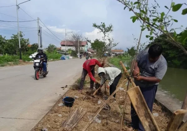 Komunitas Lingkungan Tanam 3.300 Pohon di Bantaran Sungai Cisadane, Kado HUT Kota Tangerang ke-33