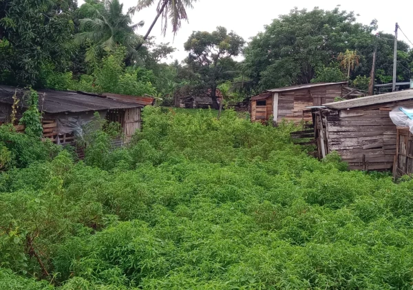 Pemkot Serang Akan Bongkar Bangunan Liar di Sungai Cibanten