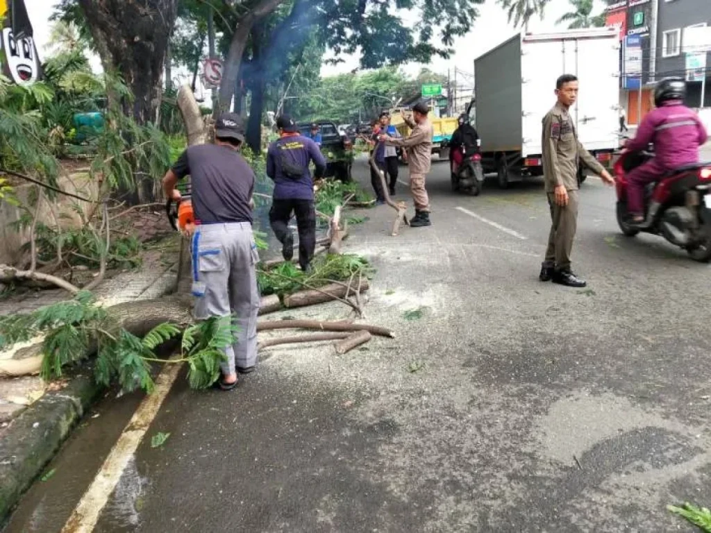 Pohon Tumbang di Jatiuwung, Satgas Kecamatan Sigap Evakuasi