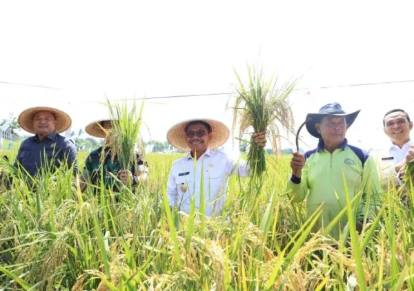 Kota Tangerang Capai Kemajuan di Bidang Ekonomi dan Ketahanan Pangan