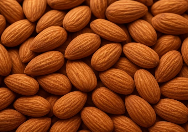 Kacang Almond, Camilan Sehat Penjaga Fungsi Otak