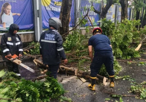 Hujan Deras Disertai Angin Kencang Terjang Kota Tangerang, Pohon Tumbang Timpa Kendaraan dan Tutup Akses Jalan