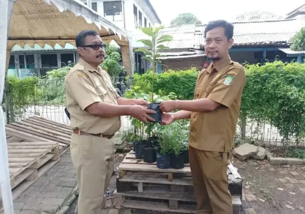 DLH Kota Tangerang Dorong Sekolah Hijau, Sediakan Bibit Pohon Gratis Lewat Fitur “Bank Pohon” di Super Apps Tangerang LIVE