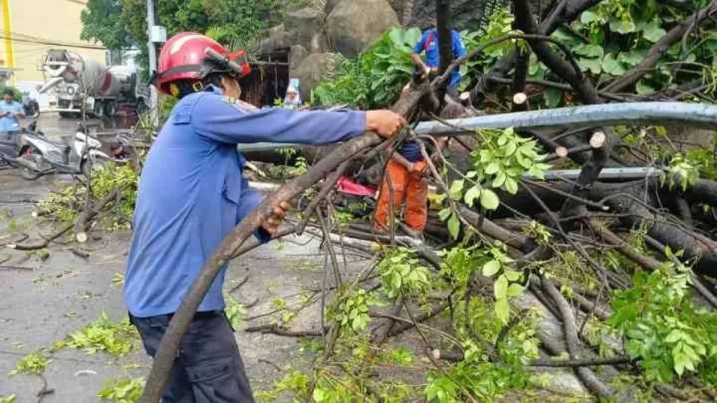 Tak Perlu KTP Tangerang, Korban Pohon Tumbang Bisa Dapat Santunan hingga Rp50 Juta