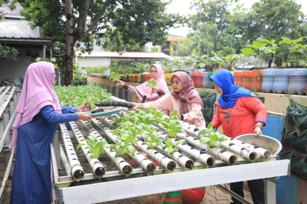 Pemkot Tangerang Perkuat Ketahanan Pangan Lewat KWT, Bibit hingga Peralatan Pertanian Dibagikan Gratis
