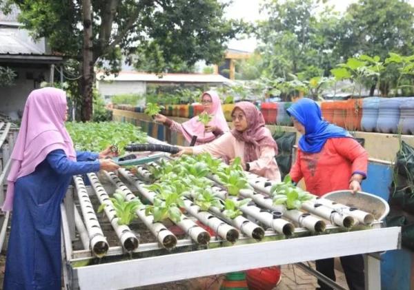 Pemkot Tangerang Perkuat Ketahanan Pangan Lewat KWT, Bibit hingga Peralatan Pertanian Dibagikan Gratis