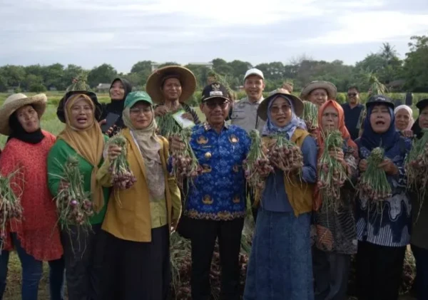 Panen Raya Bawang Merah dan Melon di Kota Tangerang: Bukti Pertanian Perkotaan Mampu Tekan Inflasi dan Perkuat Ketahanan Pangan