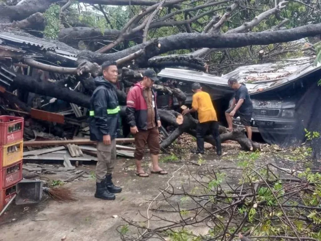 Hujan Deras Sejak Pagi Picu Genangan dan Pohon Tumbang di Kota Tangerang: BPBD Bergerak Cepat Tangani Darurat Cuaca Ekstrem