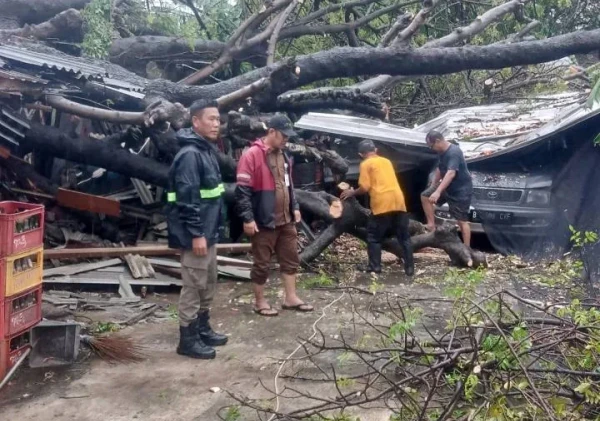 Hujan Deras Sejak Pagi Picu Genangan dan Pohon Tumbang di Kota Tangerang: BPBD Bergerak Cepat Tangani Darurat Cuaca Ekstrem