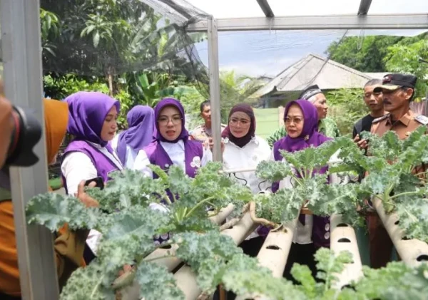 Posyandu Mawar 03 Jadi Sorotan Lagi! Inovasi Layanan Terpadu Jadi Perhatian Tim Pembina Provinsi Banten