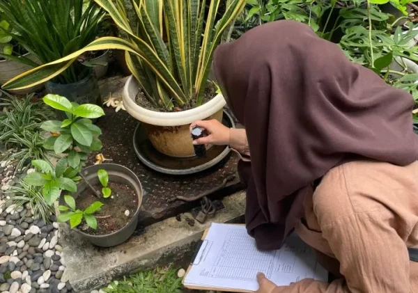Cegah Wabah DBD, Puskesmas Poris Plawad Turun Langsung Lakukan Penyelidikan Epidemiologi