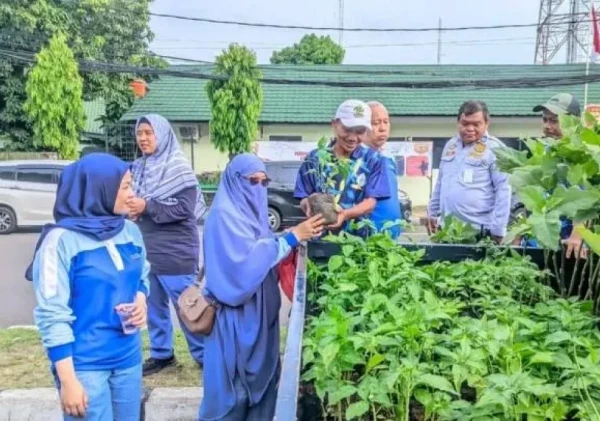 DKP Kota Tangerang Bagikan 300 Bibit Gratis, Ajak Warga Jadi “Petani Kota” di Tengah Perkotaan