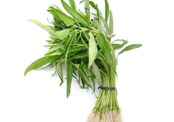 Sayur Kaya Zat Besi, Pilihan Tepat Atasi Anemia Secara Alami