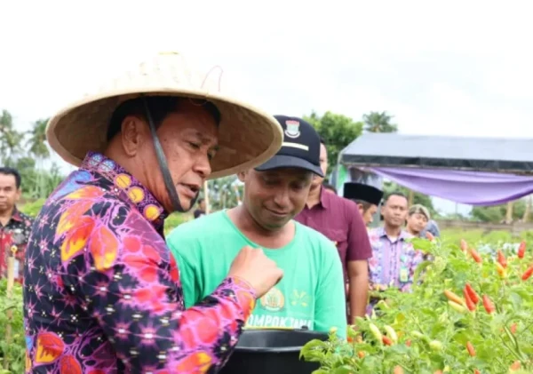 Panen Raya Cabai Setan di Legok Bikin Heboh: Produktivitas Tinggi, Pendapatan Petani Tembus Jutaan Rupiah per Bulan