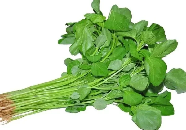 Sayur Bayam, Si Hijau Penambah Energi dan Zat Besi Alami