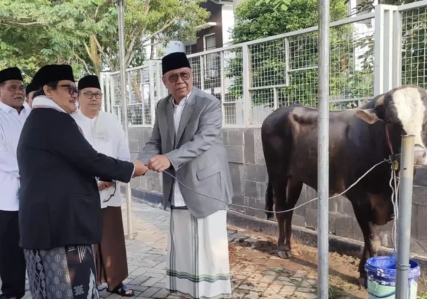 Pemkot Tangsel Salurkan Puluhan Hewan Kurban untuk Masyarakat pada Idul Adha 1445 H