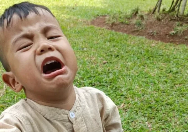 Teknologi Maju, Petani Tergusur: Siapa yang Menanam untuk Masa Depan?