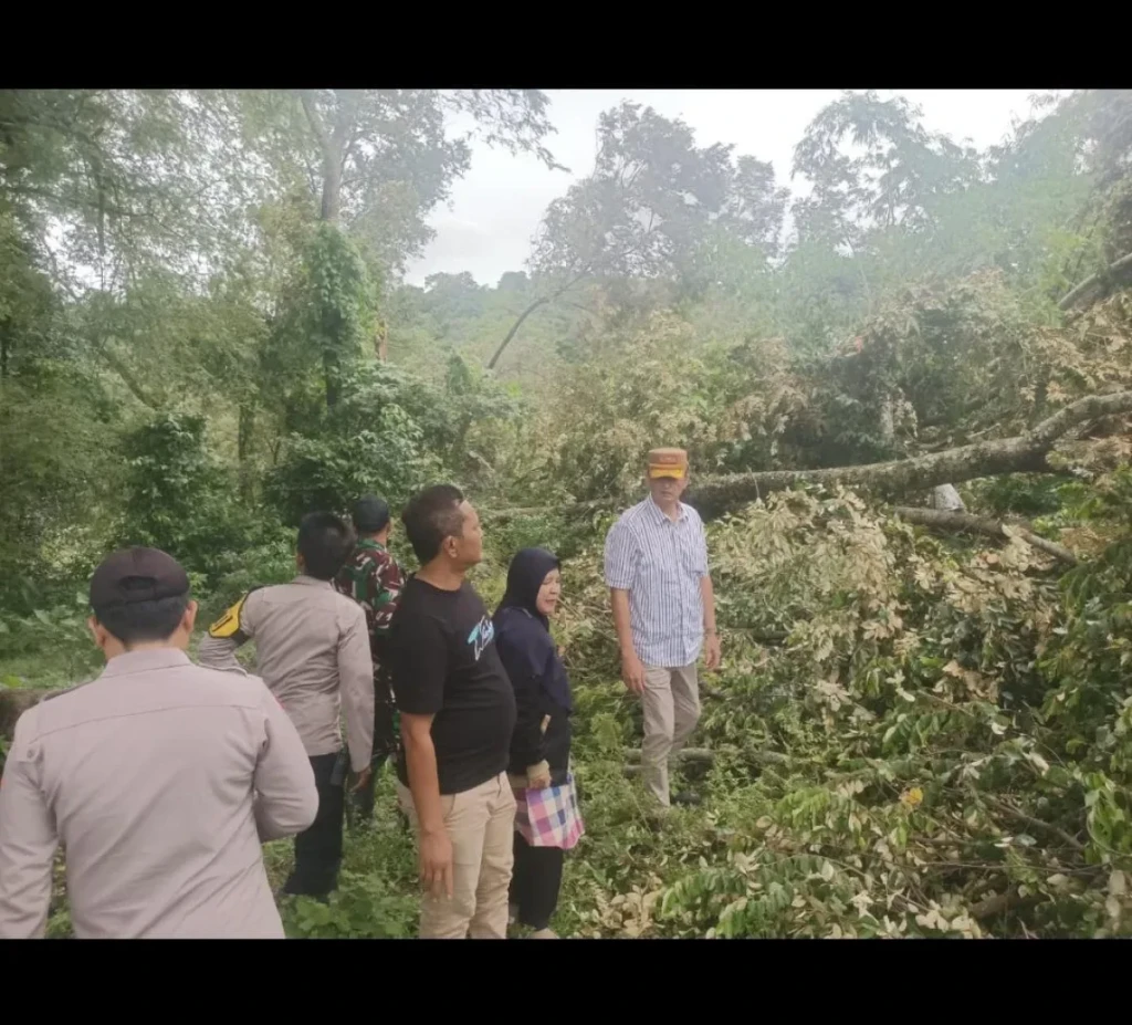 CAMAT MANCAK SIGAP TANGANI BENCANA DI DESA WINONG