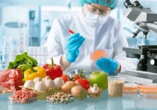 Makan Enak, Makan Aman: Peran Analisis Pangan dalam Pilihan Makanan Harian