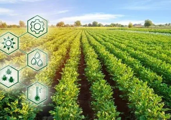 Agroindustri Berkelanjutan: Menjawab Tantangan Iklim dan Pangan di Era Modern